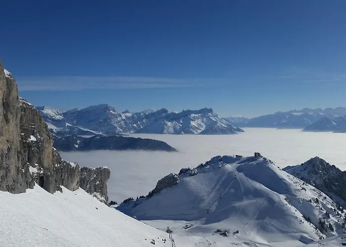 Tivoli Chalet 4* Leysin